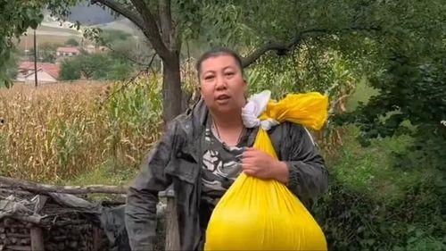 东北雨姐最新爆料,娱乐圈幕后真相大曝光！”